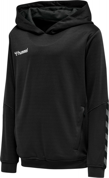 SV Veitshöchheim Authentic Poly Hoody Damen